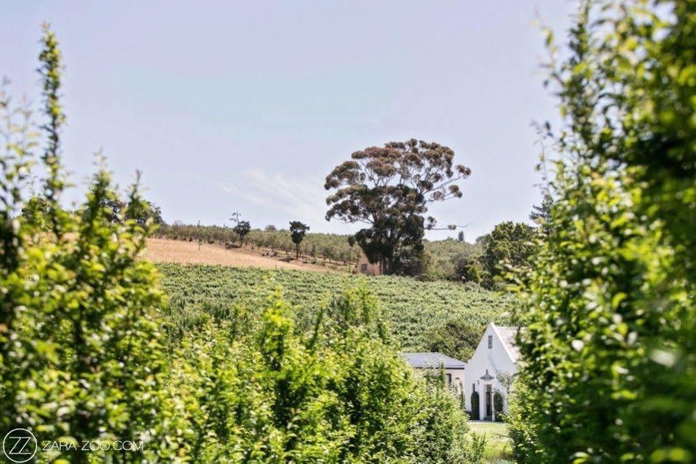 Отель Brenaissance Wine & Stud Estate Стелленбос Экстерьер фото