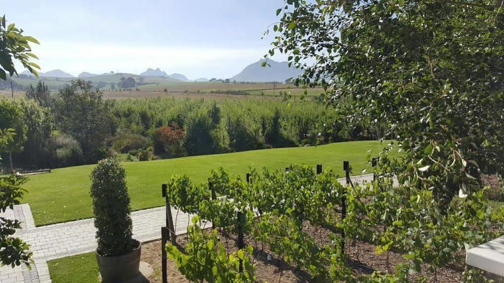 Отель Brenaissance Wine & Stud Estate Стелленбос Экстерьер фото